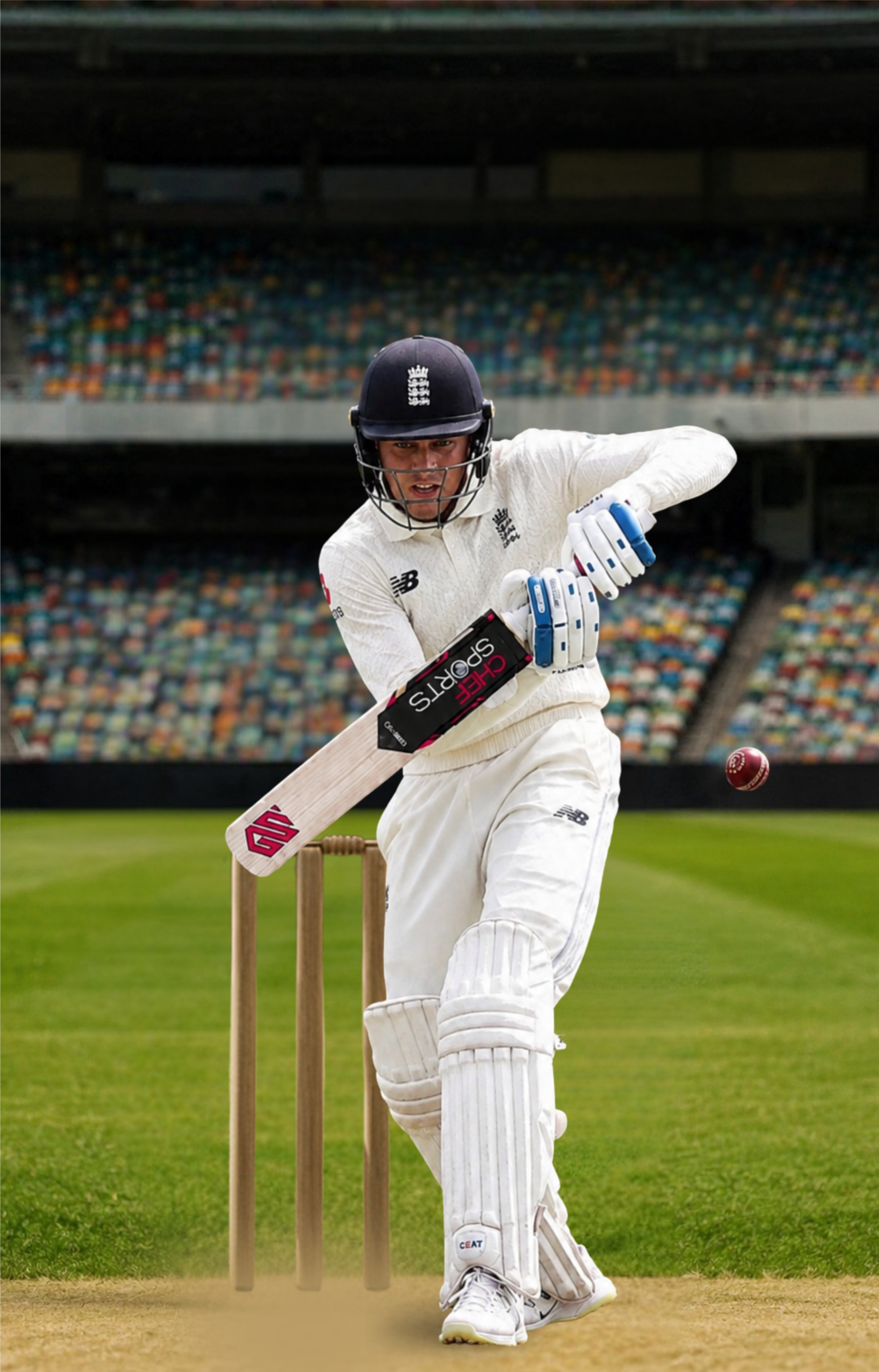 Cricket
